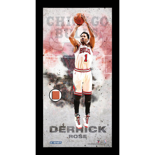 Derrick Rose Player Profile Framed 10x20 Photo Collage w Game Used Basketball