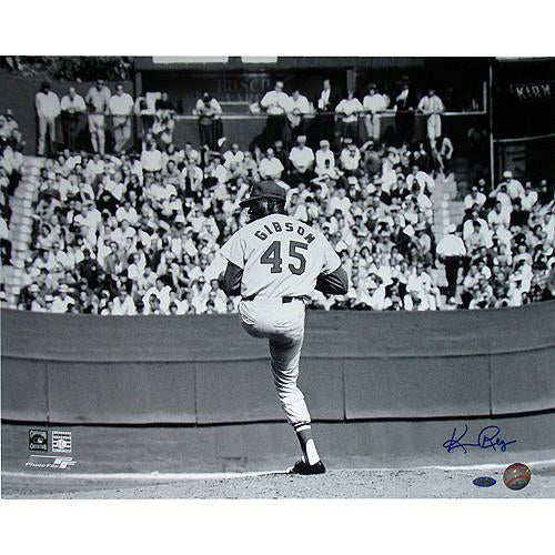 Ken Regan Signed Bob Gibson Pitching Horizontal 16x20 Photo