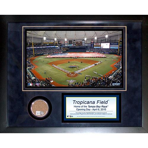 Tropicana Field 11x14 Mini Dirt Collage