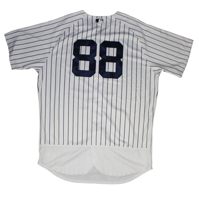 Domingo Acevedo New York Yankees 2018 Spring Training Opening Day Home Game Used #88 Pinstripe Jersey (2/23/2018) (JC038300)
