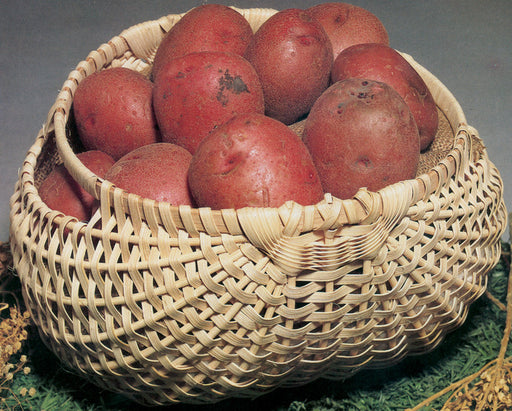 Blue Ridge Potato Basket Kits - 7" x 12" x 12"