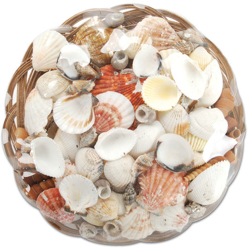 Sea Shell Basket 10" - Natural