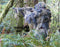 Paintball Sniper 4-Piece Woodland Ghillie Suit - XL