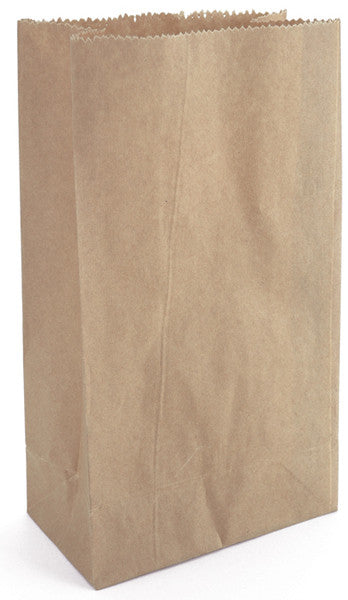 Kraft Paper Bags - 8.5" x 4.625"