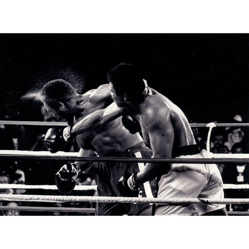 Muhammad Ali vs Foreman Rumble in the Jungle 8x10