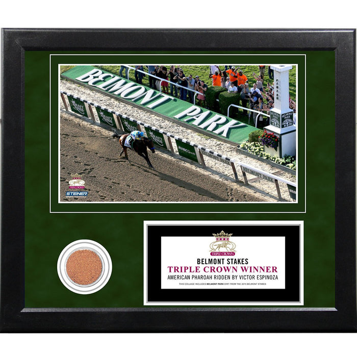 Victor Espinoza 2015 Belmont Stakes Winning Overhead Shot 11x14 Framed Collage w Dirt