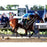 Victor Espinoza Signed American Pharoah Finish Line Celebration 2015 Belmont Stakes 8x10 Photo w 2015 Triple Crown Insc.