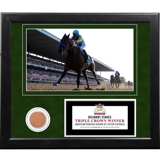 Victor Espinoza Winning 2015 Belmont Stakes 11x14 Framed Collage w Dirt