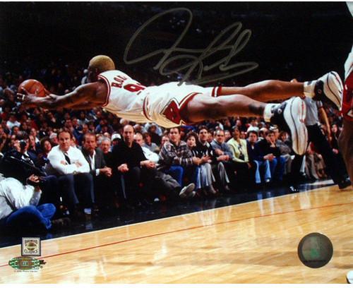 Dennis Rodman Diving Rebound Signed  8x10 Photo