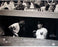 Ken Regan Signed Yogi Berra w/Elston Howard in Dugout B&W Horizontal 16x20 Photo