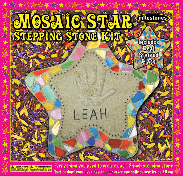 Mosaic Star Stepping Stone Kit