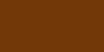 Burnt Sienna Acrylic Paint Tube - 8.5 oz.