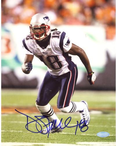 Donte Stallworth Patriots 8x10 Photo