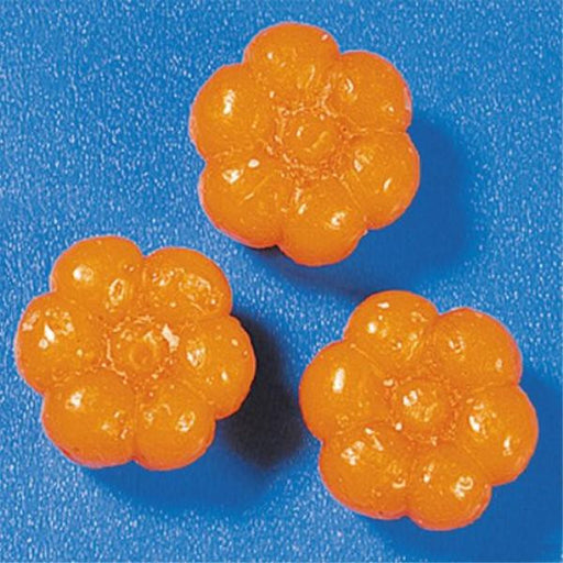 Wax Pumpkin Shapes