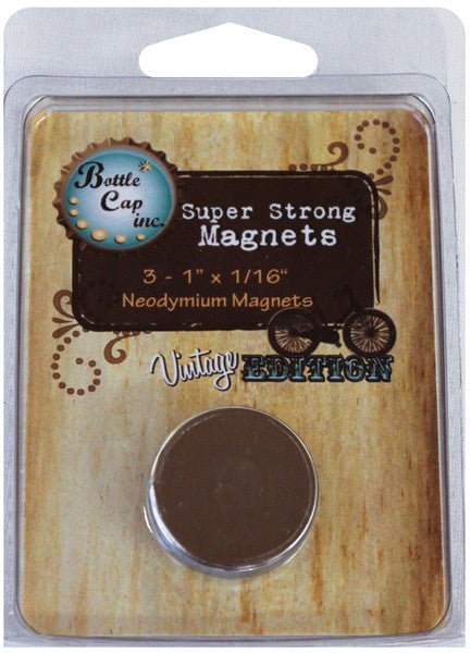 Magnets 1"X1/16" 3/Pkg