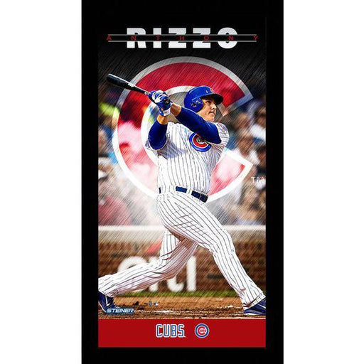 Anthony Rizzo Chicago Cubs Player Profile Wall Art 9.5x19 Framed Photo