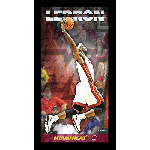 LeBron James Miami Heat Player Profile Wall Art 9.5x19 Framed Photo