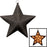 Awards Night Light-Up Sparkle Star - 16"