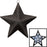 Awards Night Light-Up Sparkle Star Black - 16"