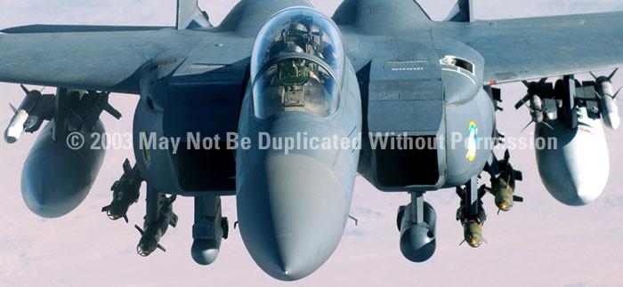 Window Graphic - 30x65 Strike Eagle Canopy