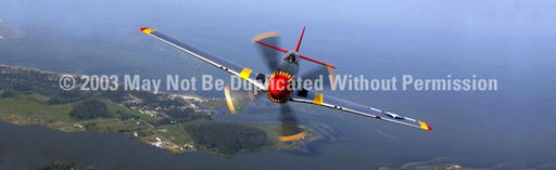 Window Graphic - 20x65 P-51 Mustang