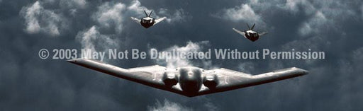 Window Graphic - 16x54 Stealth Squadron