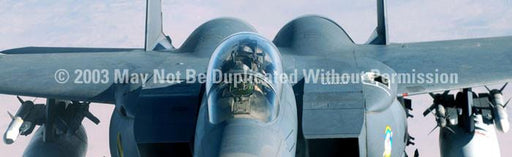 Window Graphic - 16x54 Strike Eagle Canopy