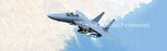 Window Graphic - 20x65 Strike Eagle