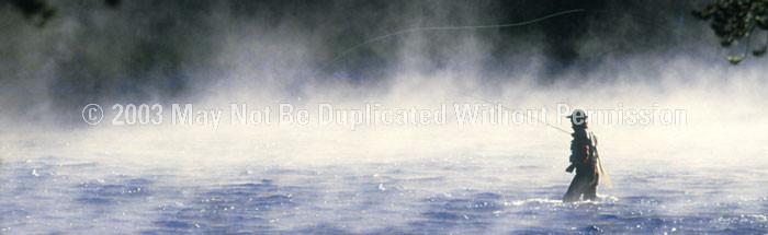 Window Graphic - 20x65 Into The Mist