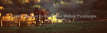 Window Graphic - 20x65 Autumn Horses