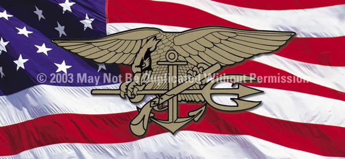 Window Graphic - 30x65 U.S. Navy Seals