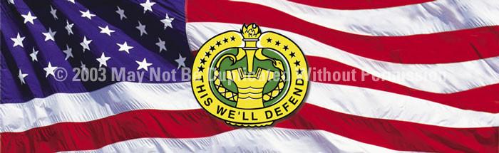 Window Graphic - 16x54 This We will Defend