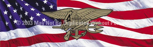 Window Graphic - 16x54 U.S. Navy Seals