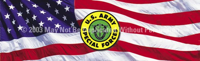 Window Graphic - 20x65 U.S. Army Special Forces 2