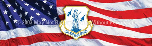 Window Graphic - 20x65 Air National Guard