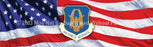 Window Graphic - 20x65 Air Force Reserve