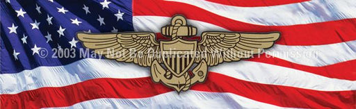 Window Graphic - 16x54 Navy Pilot