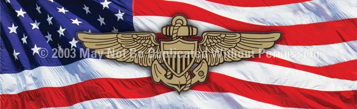 Window Graphic - 16x54 Navy Pilot