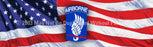 Window Graphic - 16x54 173rd Airborne Brigade