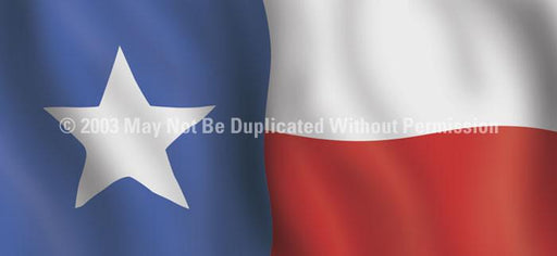 Window Graphic - 30x65 Texas Flag