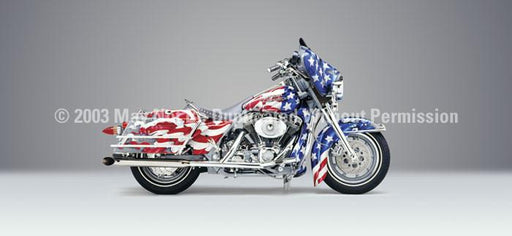 Window Graphic - 30x65 Patriot