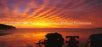 Window Graphic - 30x65 Magical Sunrise