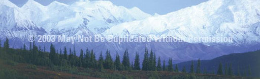 Window Graphic - 20x65 Mountains