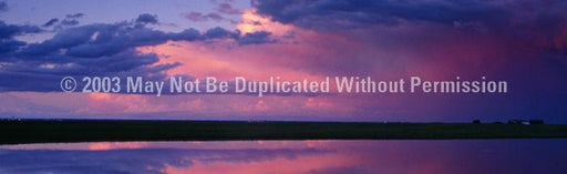 Window Graphic - 16x54 Pink Sunset