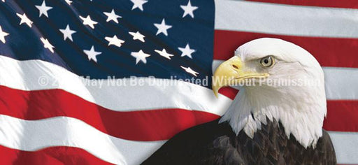 Window Graphic - 30x65 US Flag 1 with Eagle