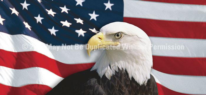 Window Graphic - 30x65 US Flag 1 with Eagle Centered