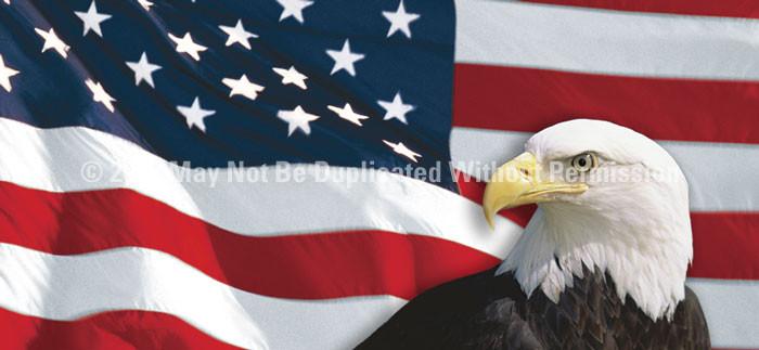 Window Graphic - 30x65 US Flag 1 with Eagle for Slider Windows