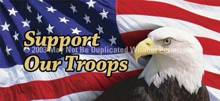 Window Graphic - 30x65 US Eagle Flag 2 Support Our Troops