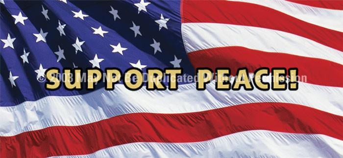 Window Graphic - 30x65 US Flag 2 Support Peace