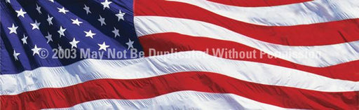 Window Graphic - 16x54 US Flag 2